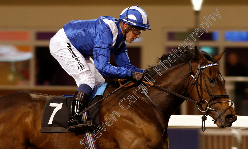 Raheeb-0007 
 RAHEEB (Jim Crowley) wins The totepool Cashback Club At totesport.com Fillies Novice Stakes
Chelmsford 29 Nov 2018 - Pic Steven Cargill / Racingfotos.com