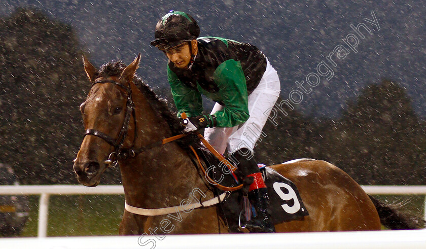 Ifitsmeanttobe-0001 
 IFITSMEANTTOBE (Gabriele Malune)
Chelmsford 6 Sep 2018 - Pic Steven Cargill / Racingfotos.com