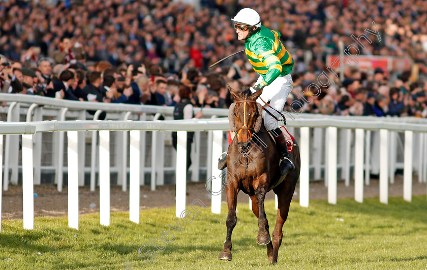 Easysland-0003 
 EASYSLAND (Jonathan Plouganou) wins The Glenfarclas Cross Country Chase
Cheltenham 11 Mar 2020 - Pic Steven Cargill / Racingfotos.com