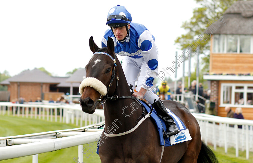 Classic-Seniority-0001 
 CLASSIC SENIORITY (Barry McHugh)
York 16 May 2018 - Pic Steven Cargill / Racingfotos.com