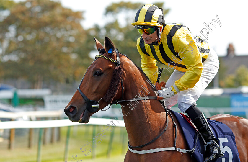 Percy-Green-0001 
 PERCY GREEN (Gerald Mosse)
Yarmouth 17 Sep 2019 - Pic Steven Cargill / Racingfotos.com