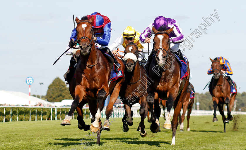 Jan-Brueghel-0001 
 JAN BRUEGHEL (left, Sean Levey) beats ILLINOIS (right) in The Betfred St Leger Stakes
Doncaster 14 Sep 2024 - Pic Steven Cargill / Racingfotos.com