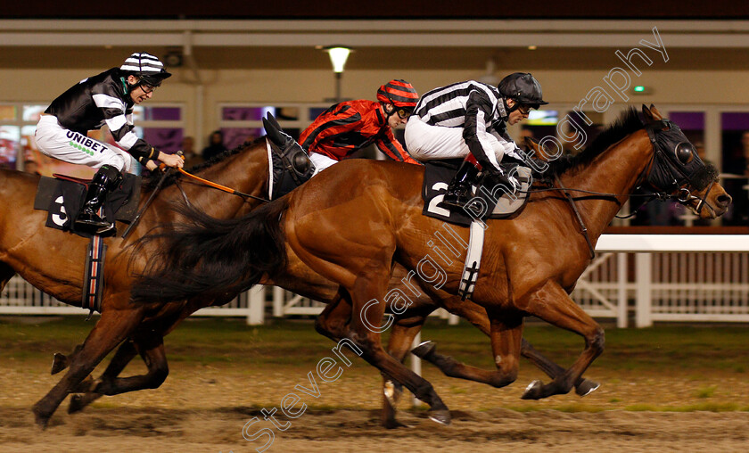 Strawberry-Jack-0005 
 STRAWBERRY JACK (Ben Curtis) wins The Bet totescoop6 At totesport.com Handicap
Chelmsford 2 Jan 2020 - Pic Steven Cargill / Racingfotos.com