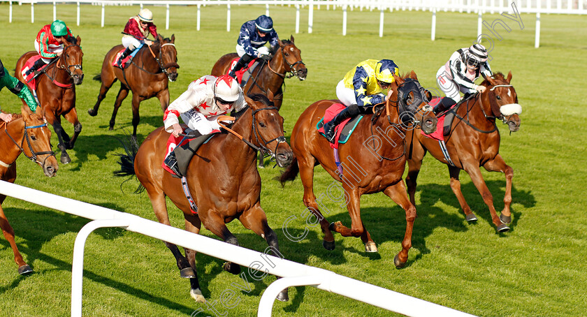 Silastar-0005 
 SILASTAR (left, Ryan Moore) beats MAGICAL MILE (2nd right) in The Be Lucky With The Racehorse Lotto Handicap
Sandown 25 May 2023 - Pic Steven Cargill / Racingfotos.com