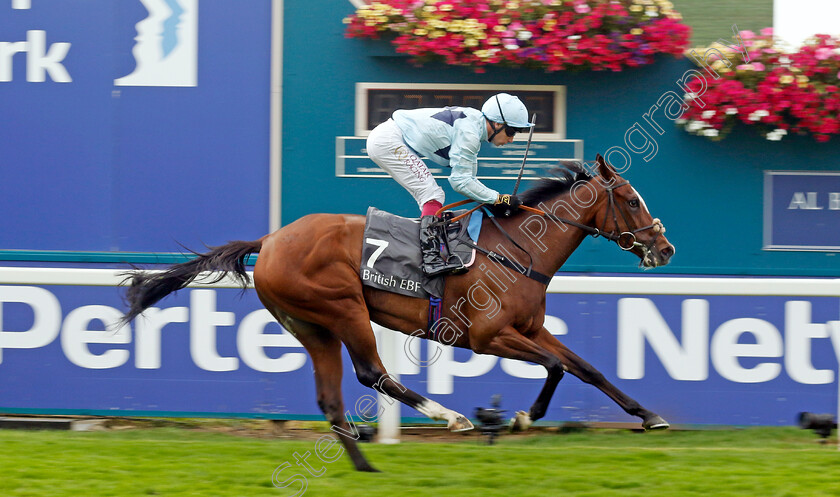 Scenic-0002 
 SCENIC (Oisin Murphy) wins The British EBF & Sir Henry Cecil Galtres Stakes
York 22 Aug 2024 - Pic Steven Cargill / Racingfotos.com