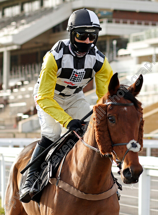 Soldier-Of-Love-0001 
 SOLDIER OF LOVE (Harry Cobden)
Cheltenham 15 Nov 2020 - Pic Steven Cargill / Racingfotos.com