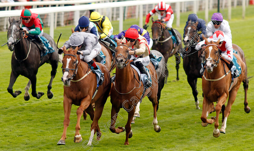 Thunder-Run-0003 
 THUNDER RUN (left, David Egan) beats MIRSKY (centre) in The Clipper Handicap
York 22 Aug 2024 - Pic Steven Cargill / Racingfotos.com