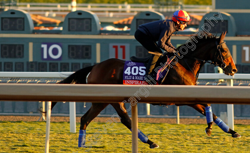 Inspiral-0005 
 INSPIRAL (Frankie Dettori) training for The Breeders' Cup Filly & Mare Turf
Santa Anita USA, 31 October 2023 - Pic Steven Cargill / Racingfotos.com