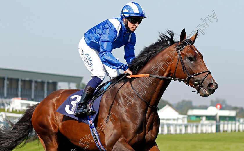 Thibaan-0001 
 THIBAAN (Jim Crowley)
Yarmouth 15 Sep 2020 - Pic Steven Cargill / Racingfotos.com