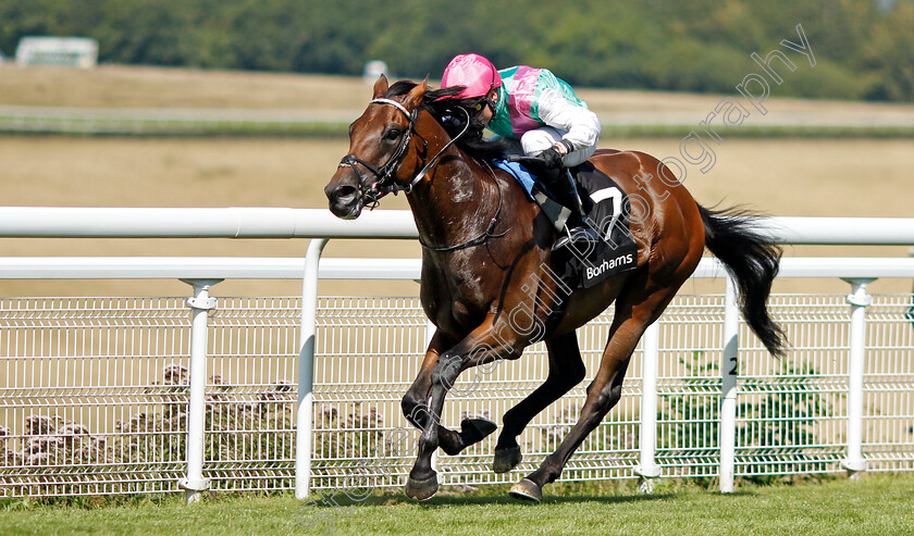 Lead-Artist-0003 
 LEAD ARTIST (Kieran Shoemark) wins The Bonhams Thoroughbred Stakes
Goodwood 2 Aug 2024 - Pic Steven Cargill / Racingfotos.com