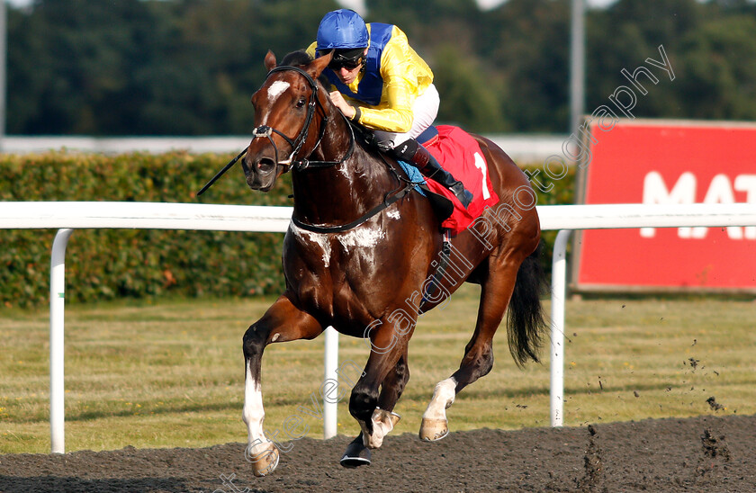 Dubai-Warrior-0005 
 DUBAI WARRIOR (Robert Havlin) wins The Matchbook Betting Exchange Novice Stakes
Kempton 7 Aug 2019 - Pic Steven Cargill / Racingfotos.com