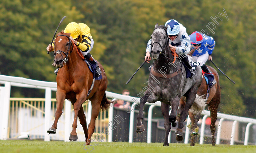 Wahaab-0001 
 WAHAAB (left, Timmy Murphy) beats CHAMPAGNE BOB (right) in The CSP Handicap Chepstow 6 Sep 2017 - Pic Steven Cargill / Racingfotos.com