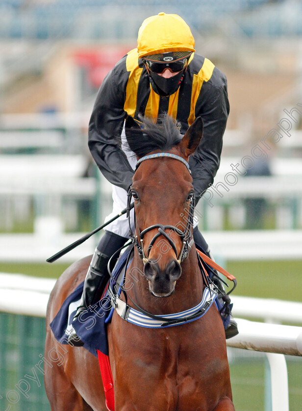 Knowwhentorun-0001 
 KNOWWHENTORUN (James Doyle)
Doncaster 28 Mar 2021 - Pic Steven Cargill / Racingfotos.com