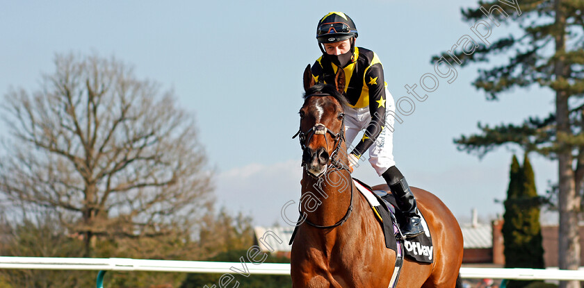 Blue-De-Vega-0001 
 BLUE DE VEGA (Ray Dawson)
Lingfield 27 Feb 2021 - Pic Steven Cargill / Racingfotos.com