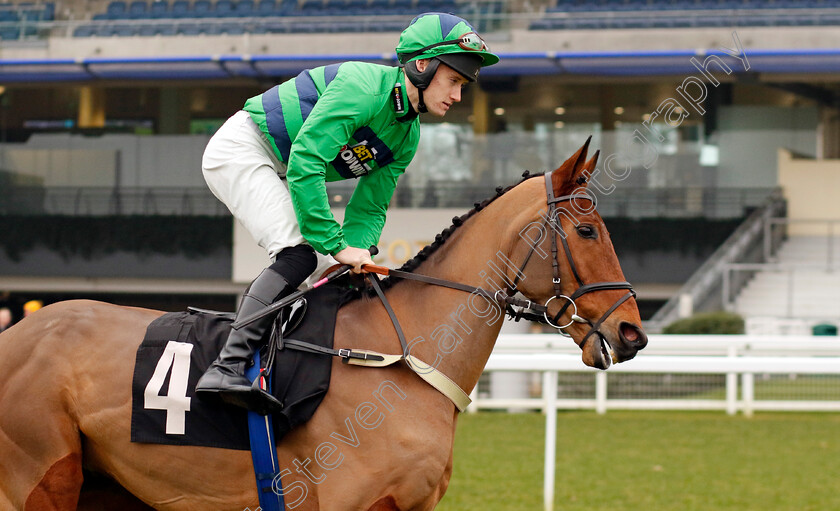 Unanswered-Prayers-0001 
 UNANSWERED PRAYERS (Freddie Gordon)
Ascot 18 Jan 2025 - Pic Steven Cargill / Racingfotos.com