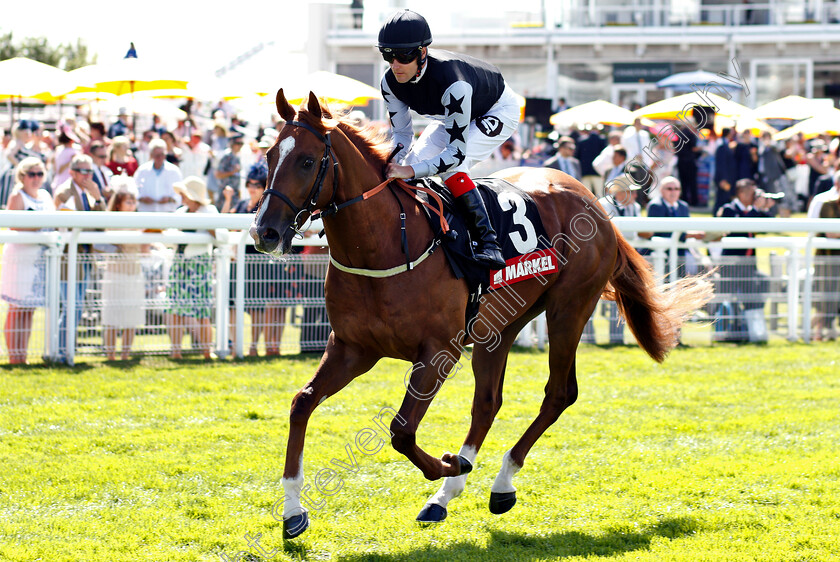 Rumble-Inthejungle-0001 
 RUMBLE INTHEJUNGLE (Tom Queally) before winning The Markel Insurance Molecomb Stakes
Goowood 1 Aug 2018 - Pic Steven Cargill / Racingfotos.com