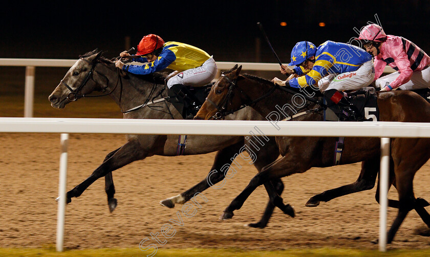 Dellaguista-0003 
 DELLAGUISTA (left, P J McDonald) beats TITAN GODDESS (right) in The Bet totequadpot At betfred.com Fillies Handicap Chelmsford 21 Dec 2017 - Pic Steven Cargill / Racingfotos.com