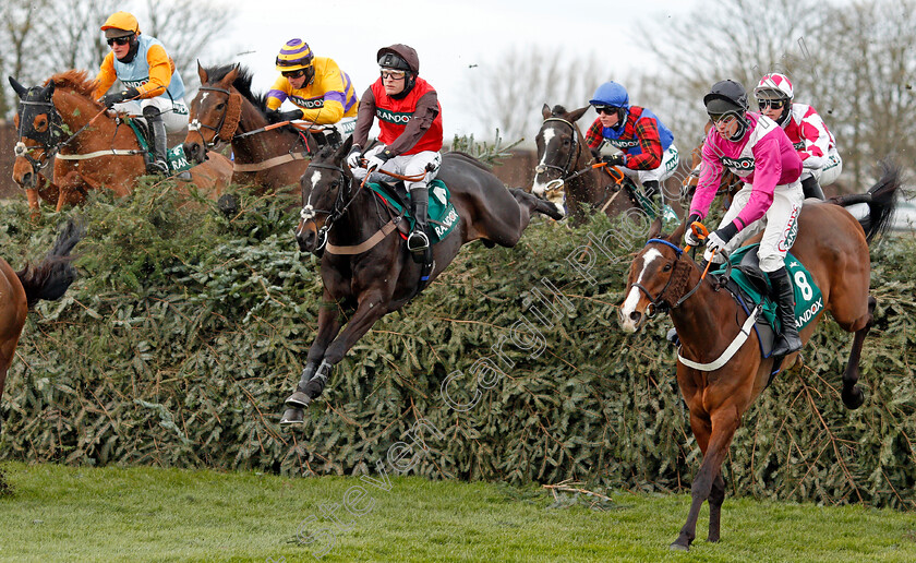 Cat-Tiger-and-Federici-0002 
 CAT TIGER (centre, David Maxwell) with FEDERICI (right, Derek O'Connor)
Aintree 8 Apr 2021 - Pic Steven Cargill / Racingfotos.com