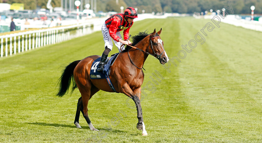 Bartholomeu-Dias-0001 
 BARTHOLOMEU DIAS (Ryan Moore)
Doncaster 13 Sep 2019 - Pic Steven Cargill / Racingfotos.com