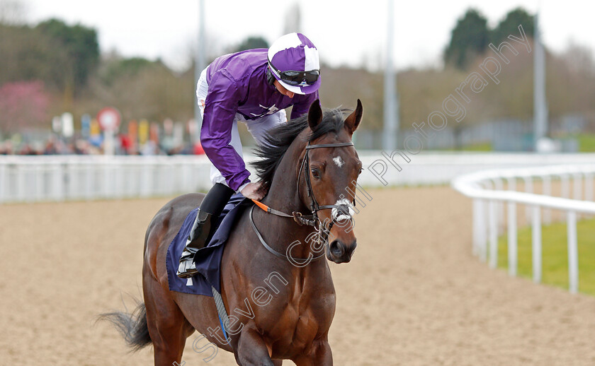 Dayman-0002 
 DAYMAN (Rossa Ryan) winner of The Mansionbet Beaten By A Head Novice Stakes
Wolverhampton 12 Mar 2022 - Pic Steven Cargill / Racingfotos.com