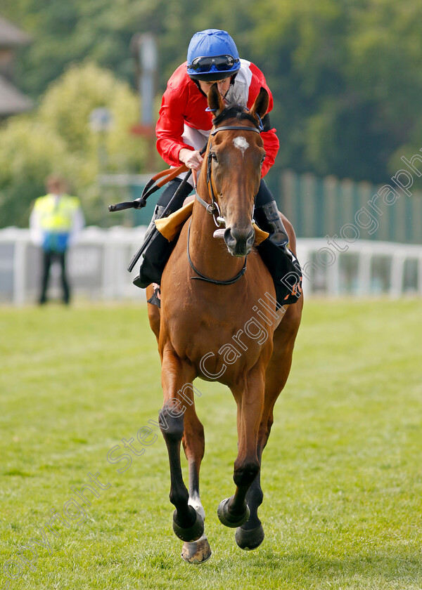 Potapova-0002 
 POTAPOVA (Ryan Moore)
Epsom 4 Jun 2022 - Pic Steven Cargill / Racingfotos.com