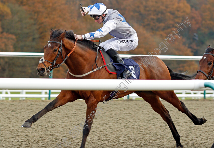 Fayez-0004 
 FAYEZ (Daniel Tudhope) wins The Betway Handicap Lingfield 21 Nov 2017 - Pic Steven Cargill / Racingfotos.com