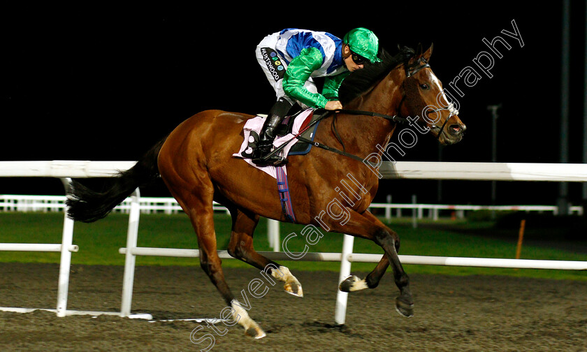 Architecture-0002 
 ARCHITECTURE (Jason Watson)
Kempton 5 Dec 2018 - Pic Steven Cargill / Racingfotos.com