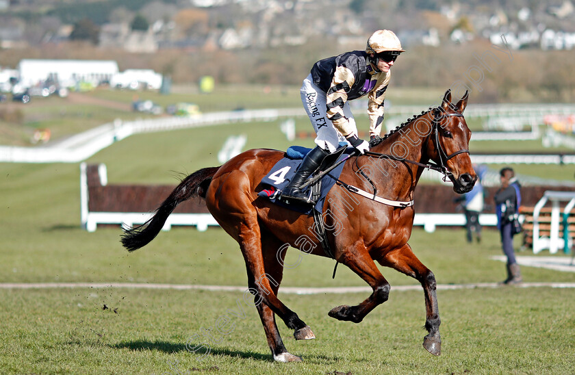 Invitation-Only-0001 
 INVITATION ONLY (Paul Townend) Cheltenham 15 Mar 2018 - Pic Steven Cargill / Racingfotos.com