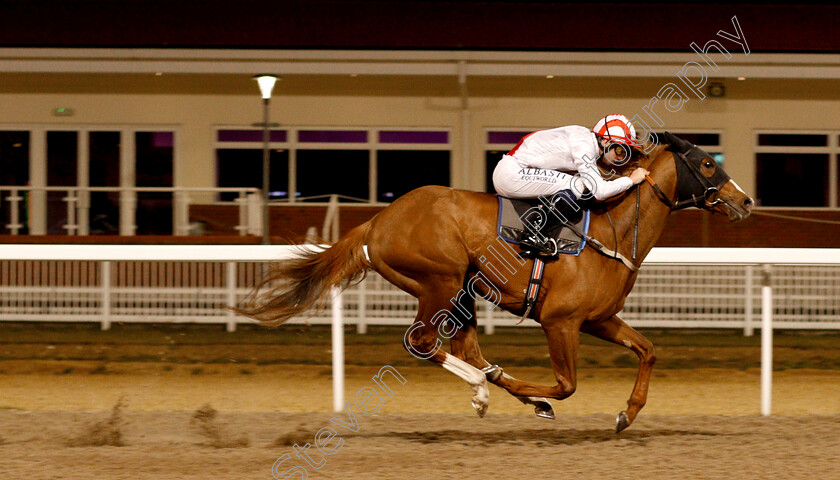 Zmhar-0005 
 ZMHAR (Oisin Murphy) wins The Extra Places At totesport.com Handicap
Chelmsford 20 Feb 2019 - Pic Steven Cargill / Racingfotos.com