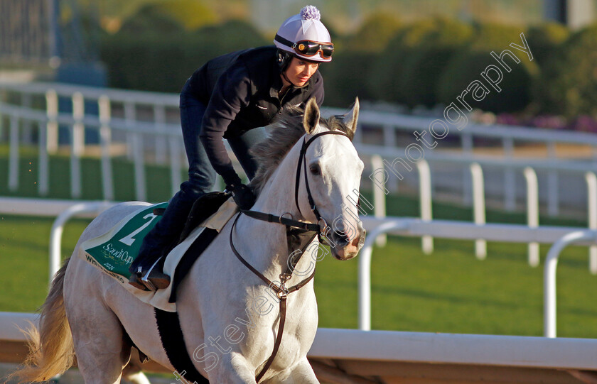 White-Abarrio-0003 
 WHITE ABARRIO training for The Saudi Cup
King Abdulaziz Racecourse, Saudi Arabia 21 Feb 2024 - Pic Steven Cargill / Racingfotos.com