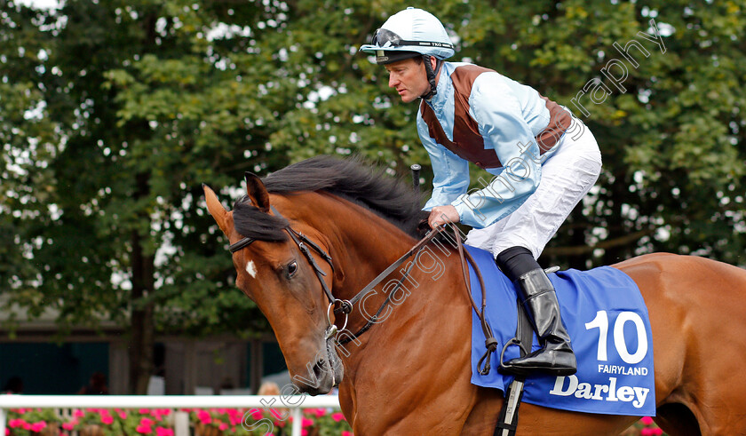 Fairyland-0001 
 FAIRYLAND (Seamie Heffernan)
Newmarket 13 Jul 2019 - Pic Steven Cargill / Racingfotos.com