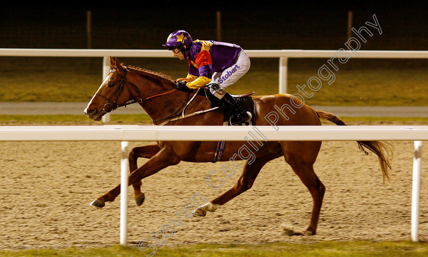 Lucky-Deal-0004 
 LUCKY DEAL (Joe Fanning) wins The Irish Lotto At totesport.com Handicap
Chelmsford 20 Feb 2019 - Pic Steven Cargill / Racingfotos.com