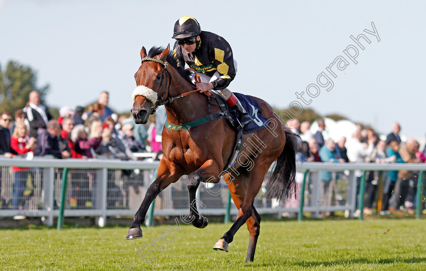 Rayna s-World-0003 
 RAYNA'S WORLD (Jimmy Quinn) wins The Vince Sullivan Memorial Nursery Yarmouth 19 Sep 2017 - Pic Steven Cargill / Racingfotos.com