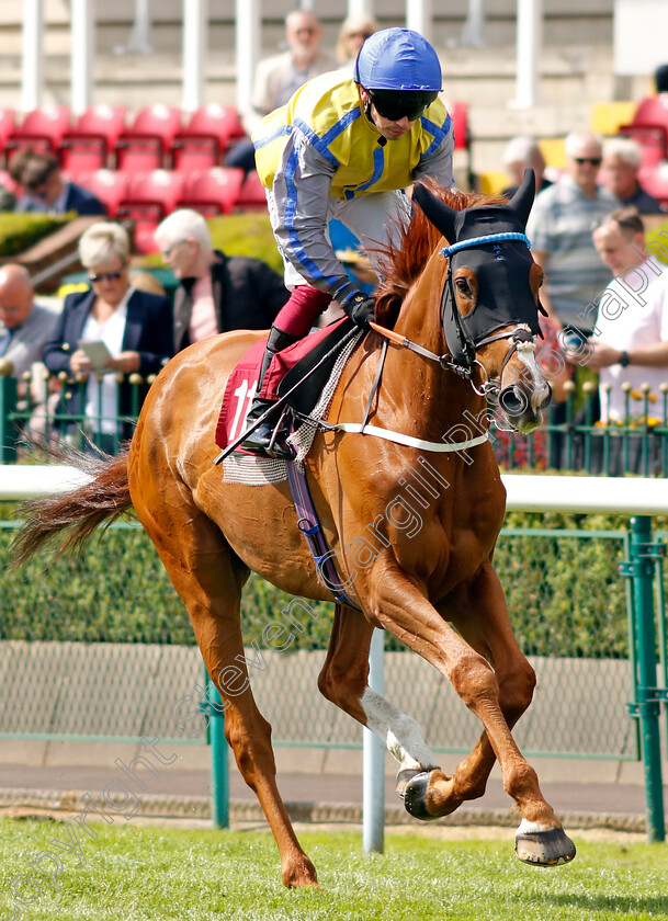 Goobinator-0001 
 GOOBINATOR (Andrew Mullen)
Haydock 25 May 2024 - Pic Steven cargill / Racingfotos.com