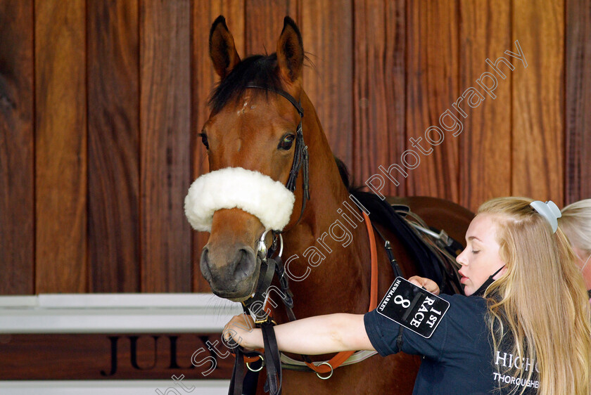 Tudor-Queen-0004 
 TUDOR QUEEN
Newmarket 26 Jun 2021 - Pic Steven Cargill / Racingfotos.com