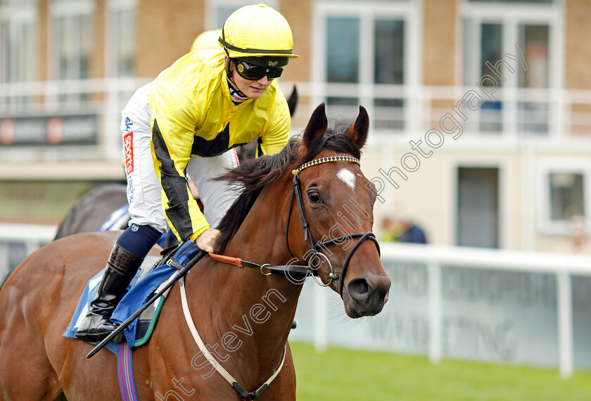 Aunt-Bethany-0001 
 AUNT BETHANY (Hollie Doyle)
Salisbury 2 Sep 2021 - Pic Steven Cargill / Racingfotos.com