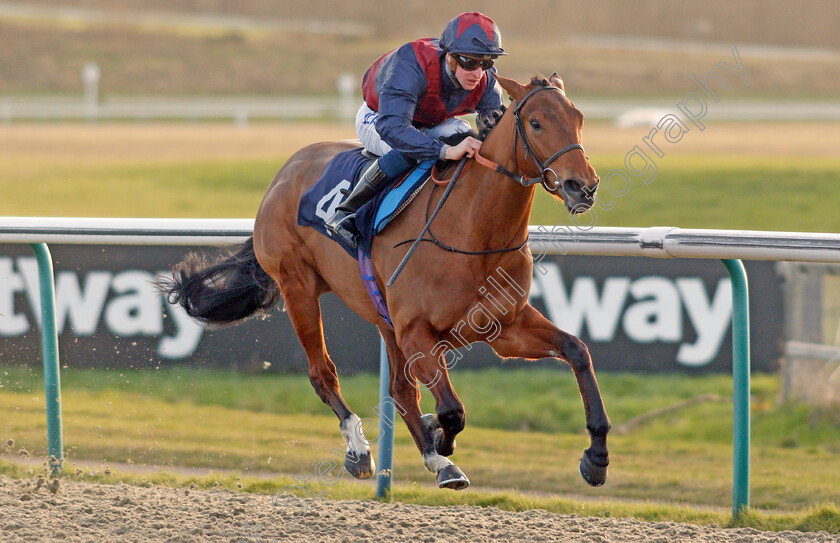 Ahorsecalledwanda-0005 
 AHORSECALLEDWANDA (Joey Haynes) wins The Ladbrokes Where The Nation Plays Fillies Novice Stakes
Lingfield 8 Feb 2020 - Pic Steven Cargill / Racingfotos.com