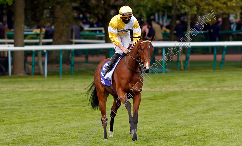 Wobwobwob-0001 
 WOBWOBWOB (Tom Marquand)
Haydock 22 May 2021 - Pic Steven Cargill / Racingfotos.com