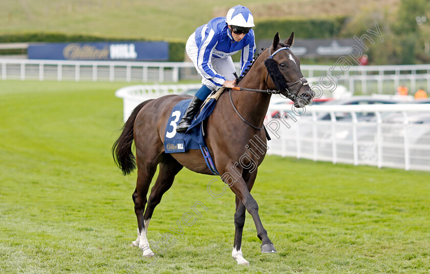 Fivethousandtoone-0005 
 FIVETHOUSANDTOONE (William Buick) winner of The William Hill Best Odds Guaranteed Handicap
Goodwood 28 Aug 2022 - Pic Steven Cargill / Racingfotos.com