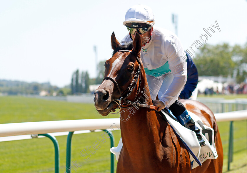 Beautiful-Sky-0001 
 BEAUTIFUL SKY (Olivier Peslier)
Deauville 6 Aug 2022 - Pic Steven Cargill / Racingfotos.com