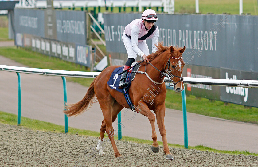 Apollo-One-0002 
 APOLLO ONE (Martin Harley)
Lingfield 5 Feb 2022 - Pic Steven Cargill / Racingfotos.com