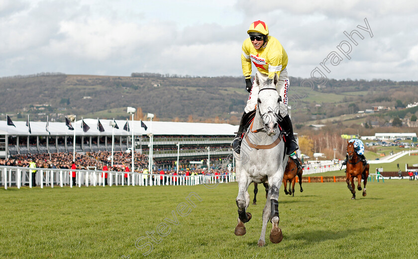 Politologue-0004 
 POLITOLOGUE (Harry Skelton) wins The Betway Queen Mother Champion Chase
Cheltenham 11 Mar 2020 - Pic Steven Cargill / Racingfotos.com