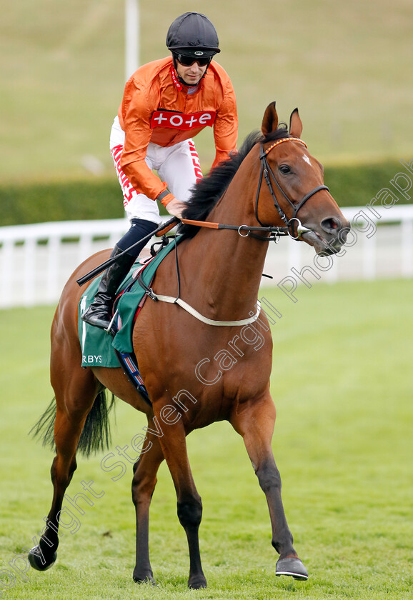 Double-Or-Bubble-0008 
 DOUBLE OR BUBBLE (Jack Mitchell) winner of The Weatherbys Stallion Book Supreme Stakes
Goodwood 28 Aug 2022 - Pic Steven Cargill / Racingfotos.com