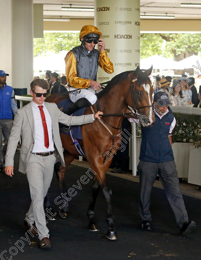 Defence-Missile-0001 
 DEFENCE MISSILE (Daniel Tudhope)
Royal Ascot 22 Jun 2024 - Pic Steven Cargill / Racingfotos.com