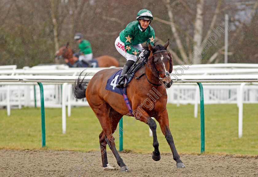 Gulliver-0001 
 GULLIVER (Josephine Gordon) Lingfield 3 Feb 2018 - Pic Steven Cargill / Racingfotos.com