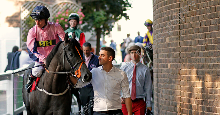 Lethal-Lunch-0001 
 LETHAL LUNCH (Adam Kirby) on his way to the track at Sandown 2 Sep 2017 - Pic Steven Cargill / Racingfotos.com