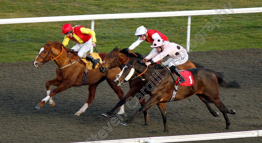 Chiefofchiefs-0002 
 CHIEFOFCHIEFS (right, Richard Kingscote) beats FAMILY FORTUNES (farside) and AL JELLABY (centre) in The 32Red.com Handicap
Kempton 4 Jan 2019 - Pic Steven Cargill / Racingfotos.com