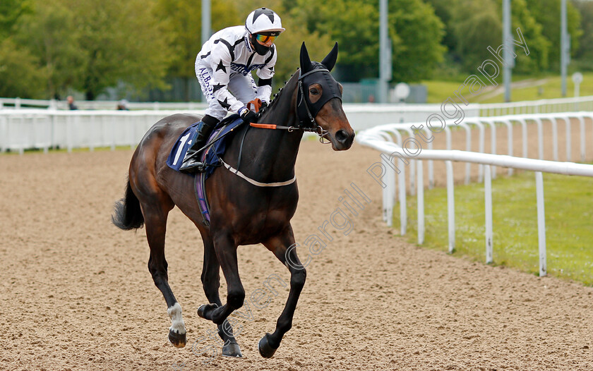 Forever-Grateful-0001 
 FOREVER GRATEFUL (Ben Curtis)
Wolverhampton 24 May 2021 - Pic Steven Cargill / Racingfotos.com