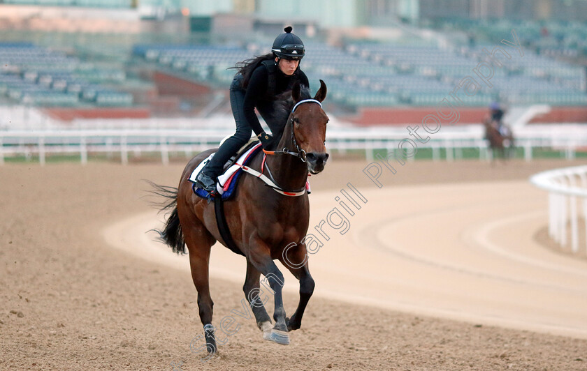 Good-Fortune-0001 
 GOOD FORTUNE training at the Dubai Racing Carnival
Meydan 1 Feb 2024 - Pic Steven Cargill / Racingfotos.com