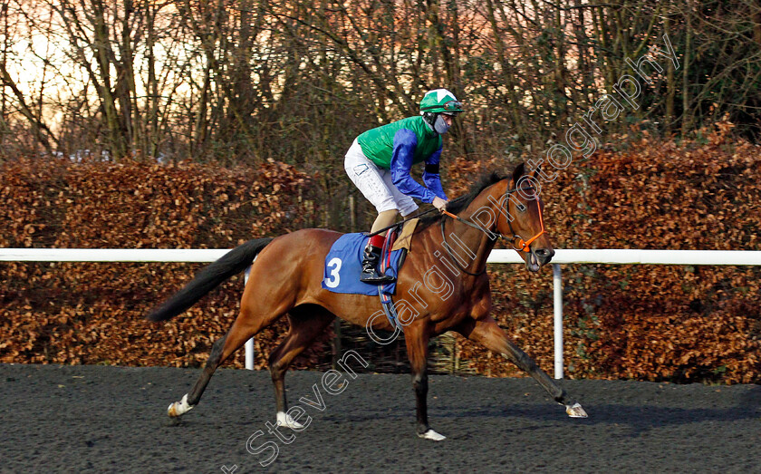 Glentaneous-0001 
 GLENTANEOUS (Robbie Downey)
Kempton 3 Feb 2021 - Pic Steven Cargill / Racingfotos.com